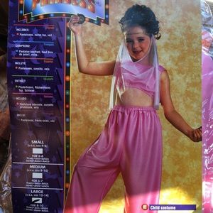 NWT Halloween: Pink Arabian Princess 10-12 (L)